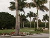 ECO Golf Course 