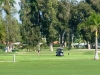 Hollywood Beach Golf Resort