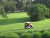 golf-course-pictues-195