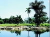 website-picture