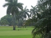 best-hotel-picture-july-2011