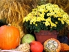 thanksgiving_autumn_scene_cards