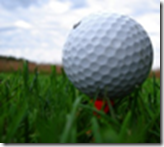 image_thumb[22]